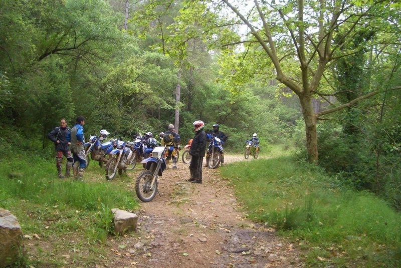 CIMG3137 [800x600]_jpg